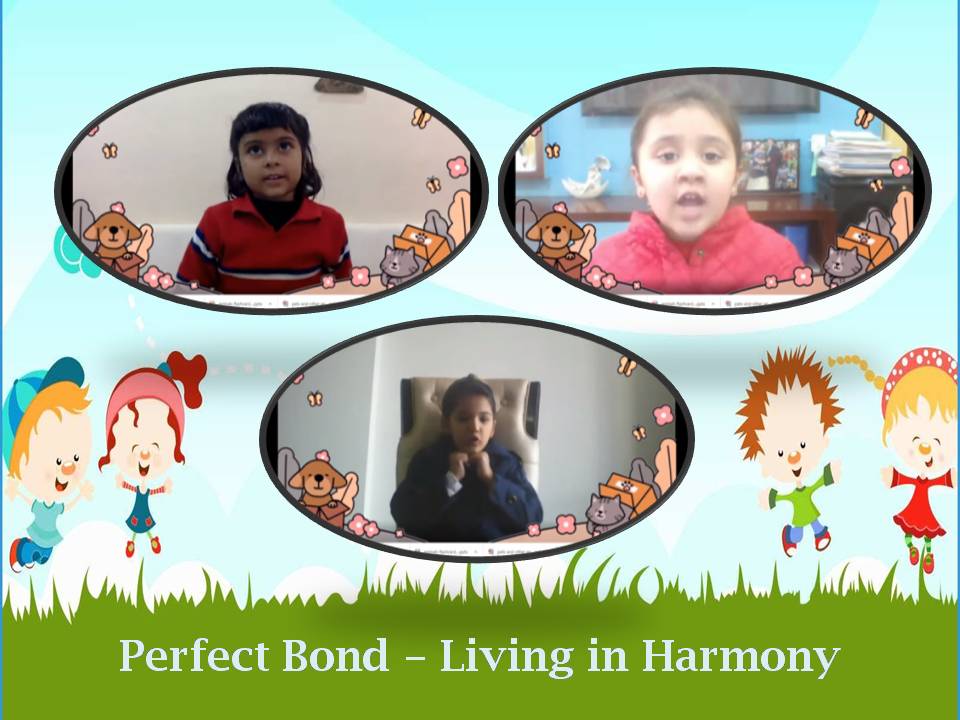 ASSEMBLY –PERFECT BOND, LIVING IN HARMONY